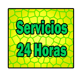 servicios-24-horas-Petrer